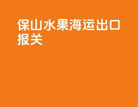 保山水果海运出口报关