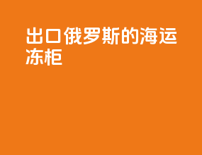 出口俄罗斯的海运冻柜