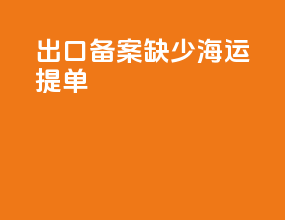 出口备案缺少海运提单