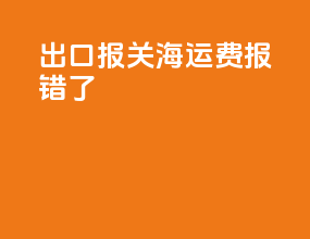 出口报关海运费报错了