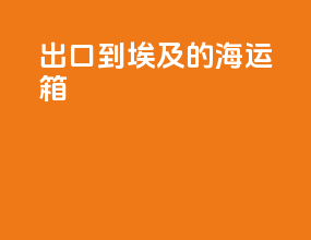 出口到埃及的海运箱