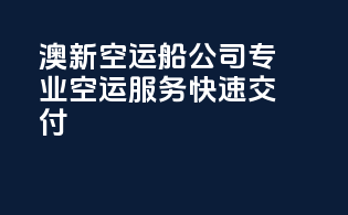 澳新空运船公司：专业空运服务，快速交付