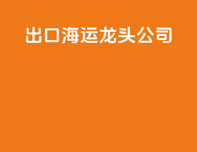 出口海运龙头公司