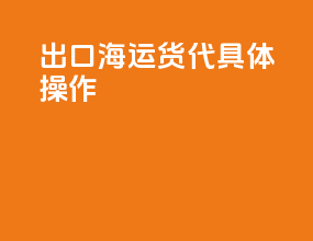 出口海运货代具体操作