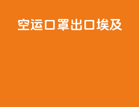 空运口罩出口埃及
