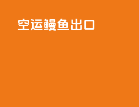空运鳗鱼出口