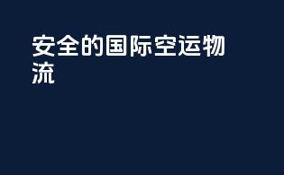 安全的国际空运物流