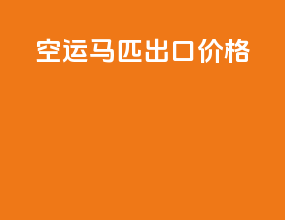 空运马匹出口价格