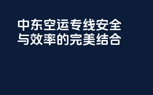 中东空运专线：安全与效率的完美结合