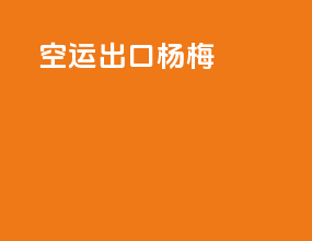 空运出口杨梅