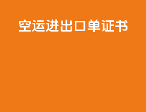 空运进出口单证书