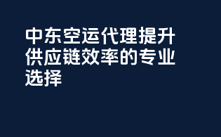 中东空运代理：提升供应链效率的专业选择