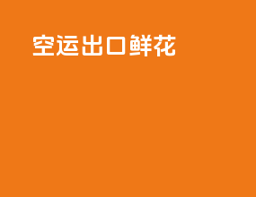 空运出口鲜花