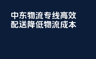 中东物流专线，高效配送，降低物流成本
