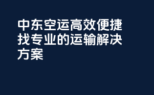 中东空运高效便捷：找专业的运输解决方案
