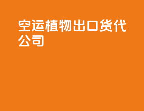 空运植物出口货代公司