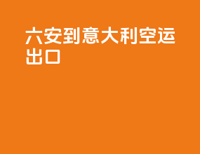 六安到意大利空运出口