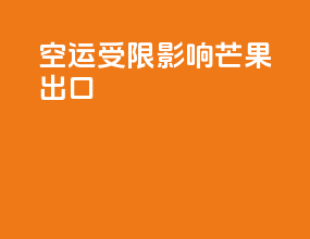 空运受限影响芒果出口