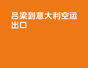 吕梁到意大利空运出口