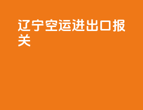 辽宁空运进出口报关
