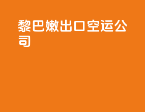 黎巴嫩出口空运公司