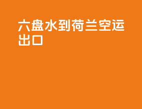六盘水到荷兰空运出口