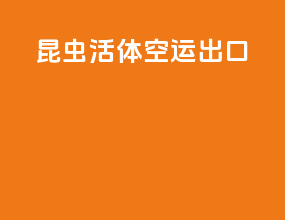 昆虫活体空运出口