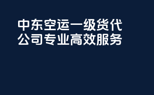 中东空运一级货代公司，专业高效服务