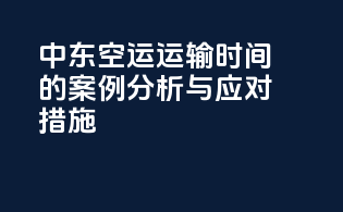 中东空运运输时间的案例分析与应对措施