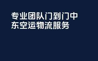 专业团队，门到门中东空运物流服务