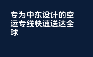 专为中东设计的空运专线，快速送达全球