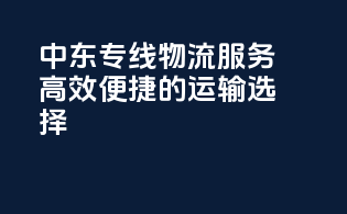 中东专线物流服务，高效便捷的运输选择