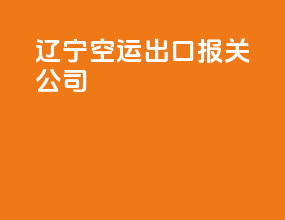 辽宁空运出口报关公司