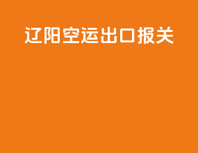 辽阳空运出口报关