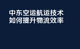 中东空运航运技术如何提升物流效率