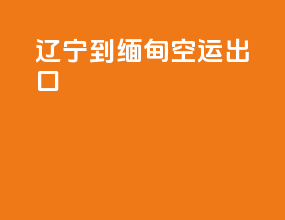 陇南到缅甸空运出口