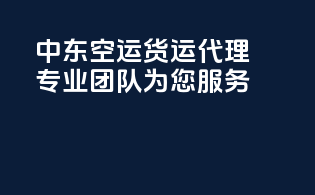 中东空运货运代理，专业团队为您服务