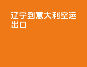 辽宁到意大利空运出口