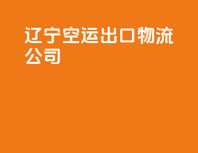 辽宁空运出口物流公司