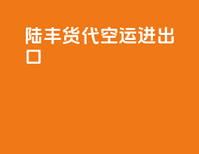 陆丰货代空运进出口