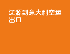 辽源到意大利空运出口