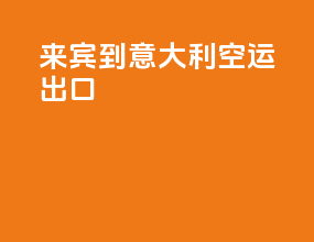 来宾到意大利空运出口