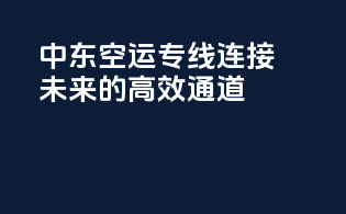 中东空运专线：连接未来的高效通道