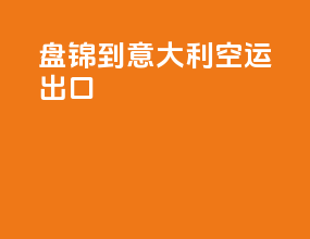 盘锦到意大利空运出口
