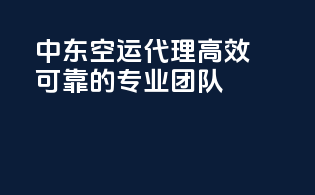 中东空运代理：高效可靠的专业团队