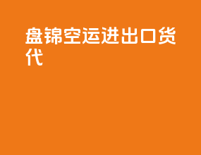 盘锦空运进出口货代