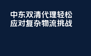 中东双清代理，轻松应对复杂物流挑战