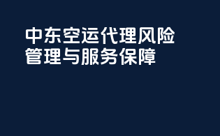 中东空运代理：风险管理与服务保障