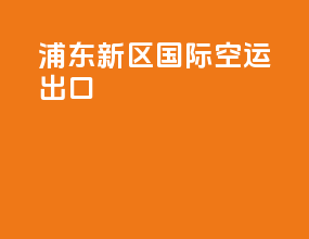 浦东新区国际空运出口