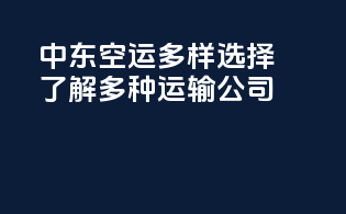 中东空运多样选择：了解多种运输公司
